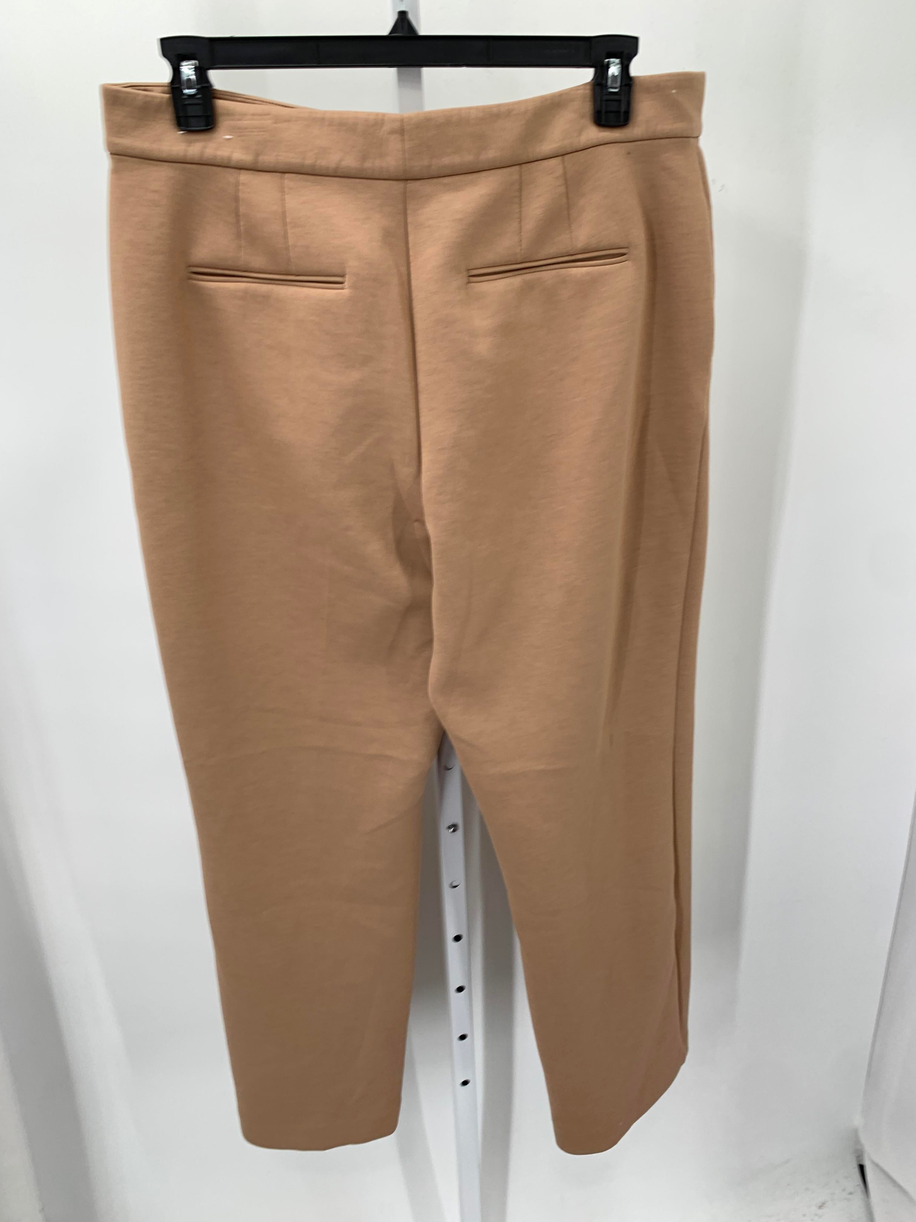 Ann Taylor Size 16 Misses Pants
