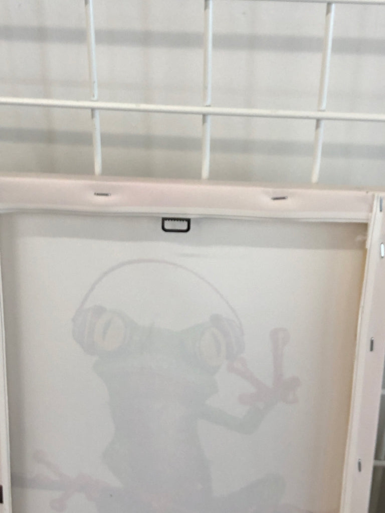FROG W/HEADPHONES CANVAS.