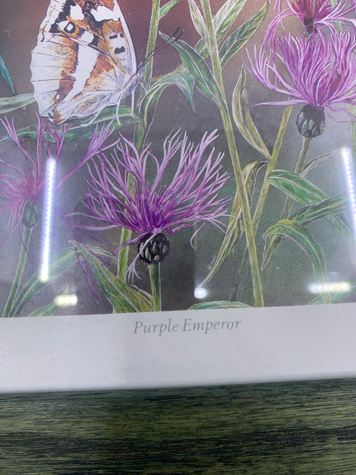 PURPLE EMPEROR FLOWERS W/ BUTTERFLY GREEN FRAME WALL HANGING.