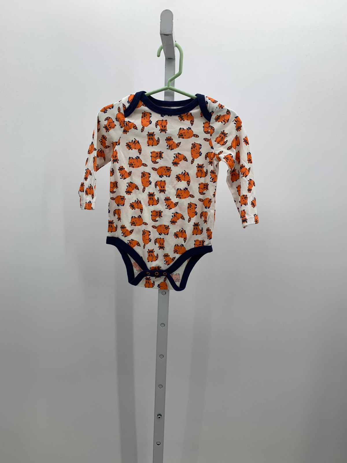 ORANGE RACCOONS