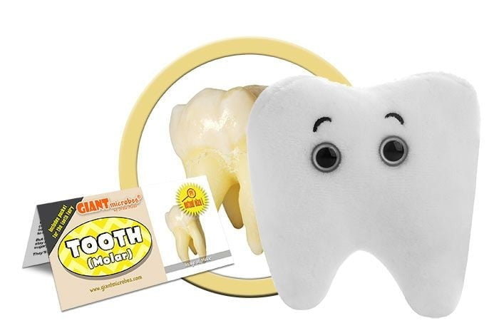 GIANT Microbes Plush Tooth Holder, Molar