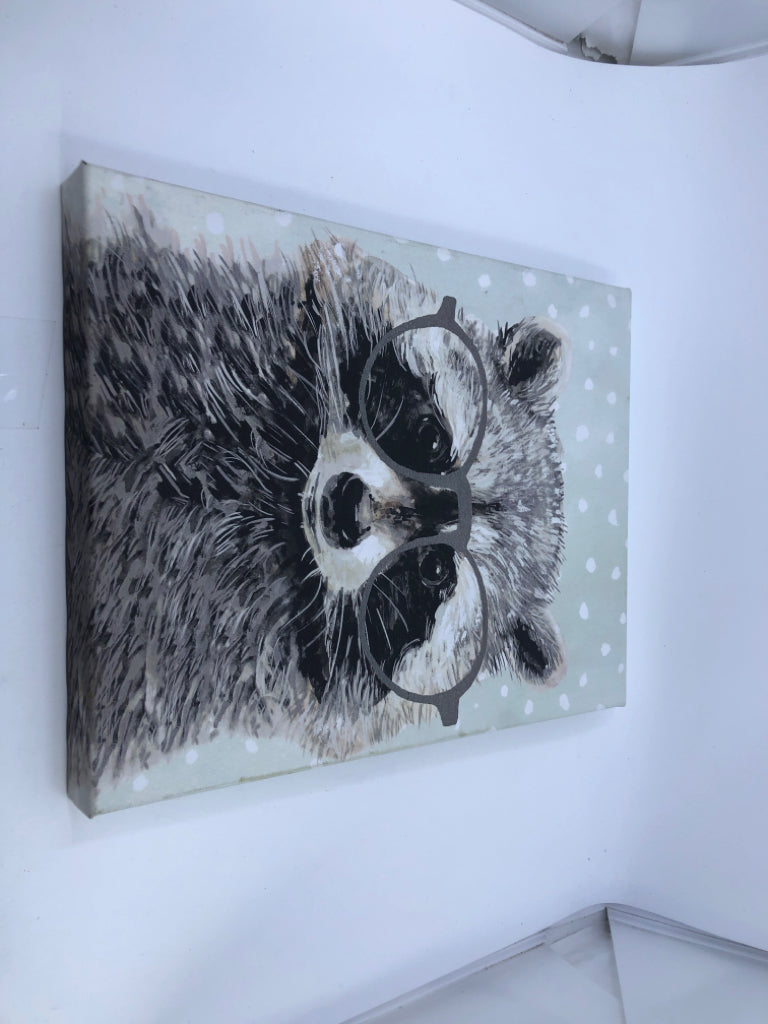 RACOON CANVAS W/ GLASSES.