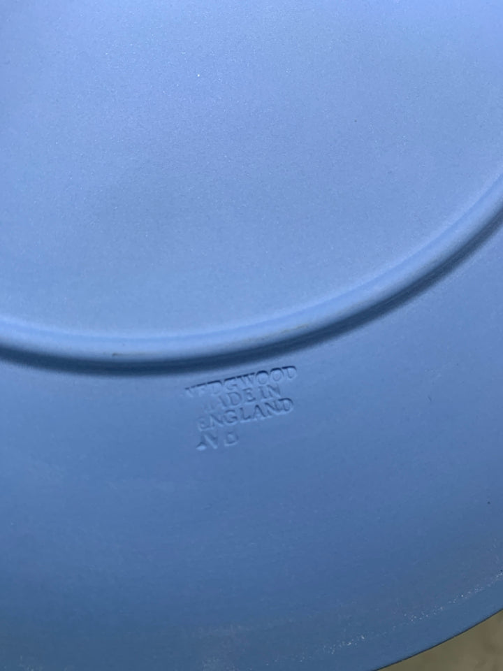 VTG JASPERWARE PLATE W/ DIFFERENT SCENES RIM.