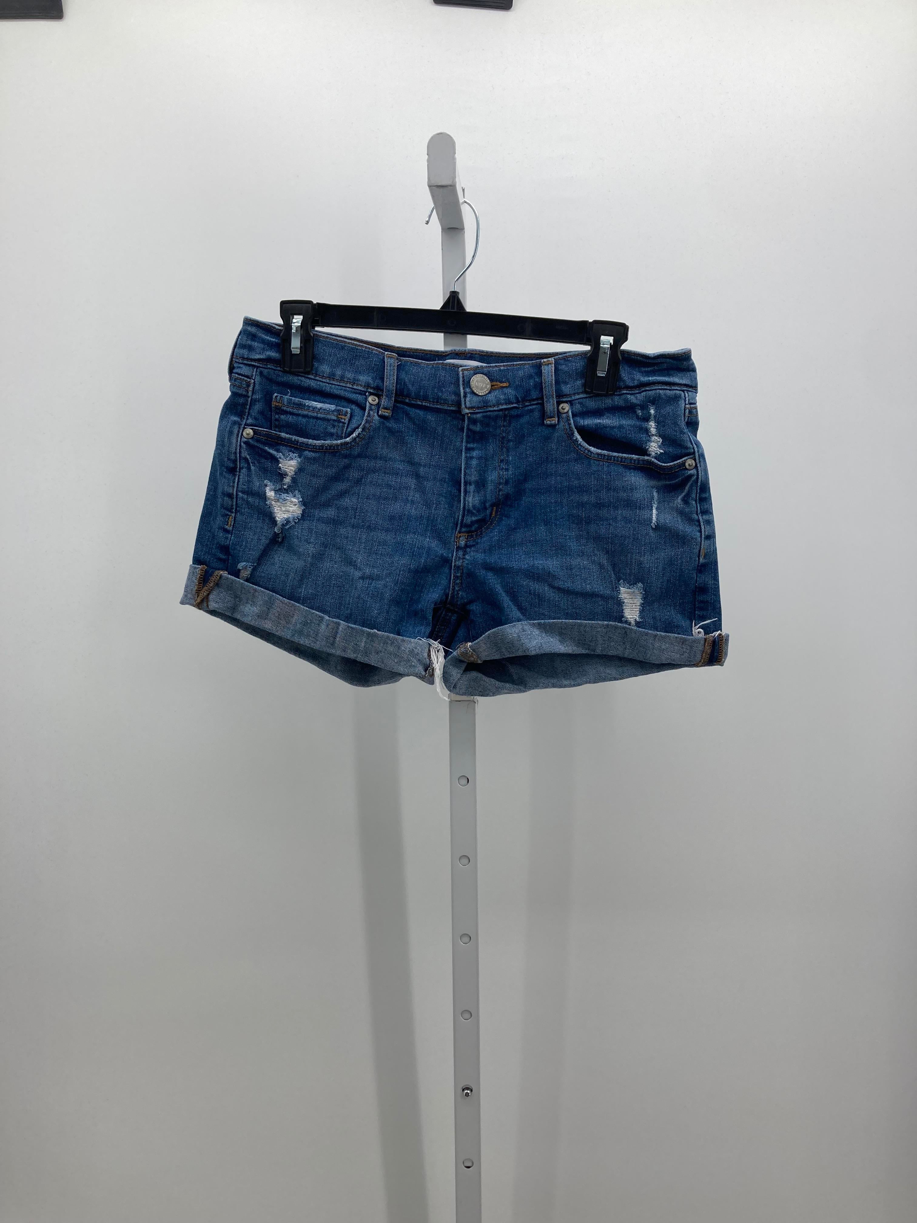Loft Size 4 Misses Shorts
