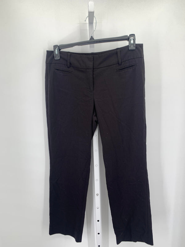 Loft Size 10 Misses Pants