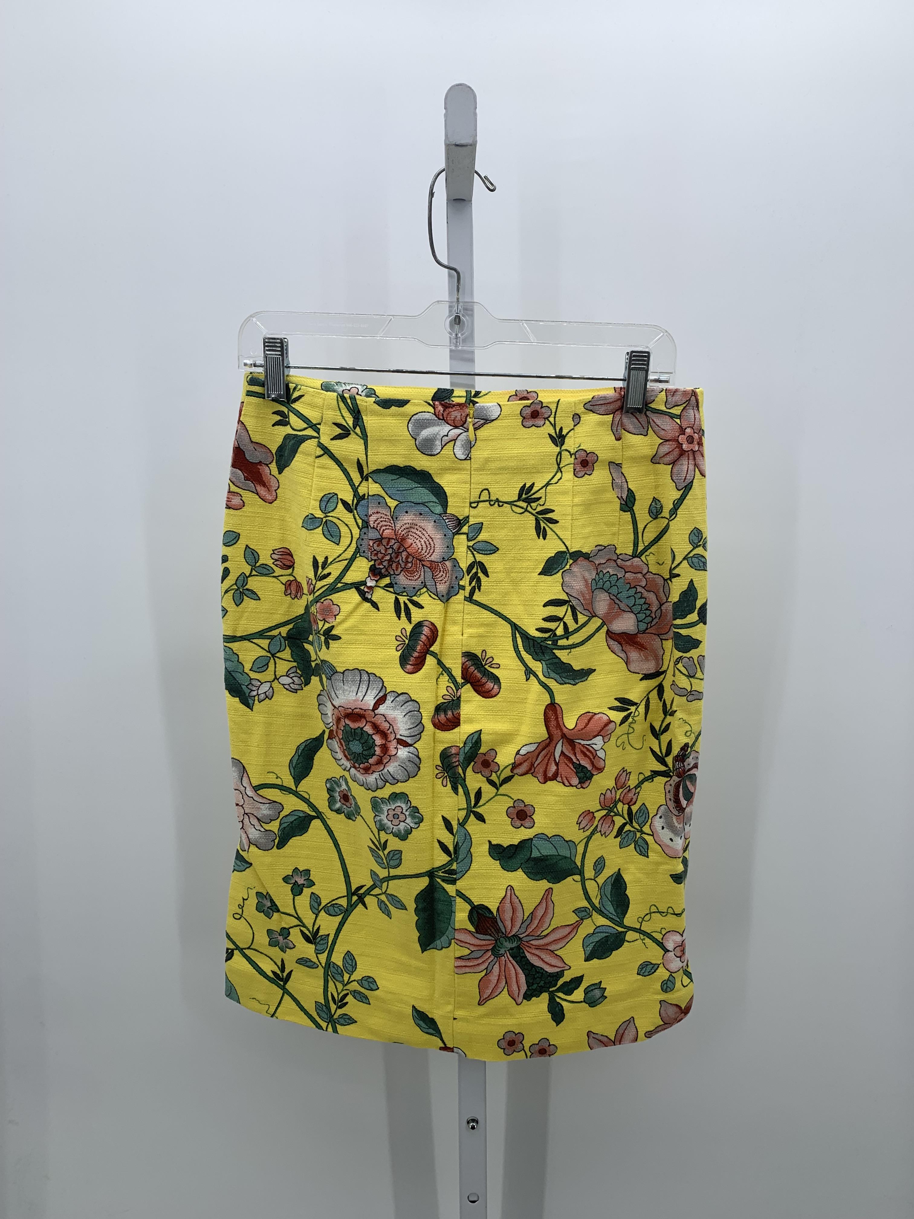 Loft Size 6 Misses Skirt