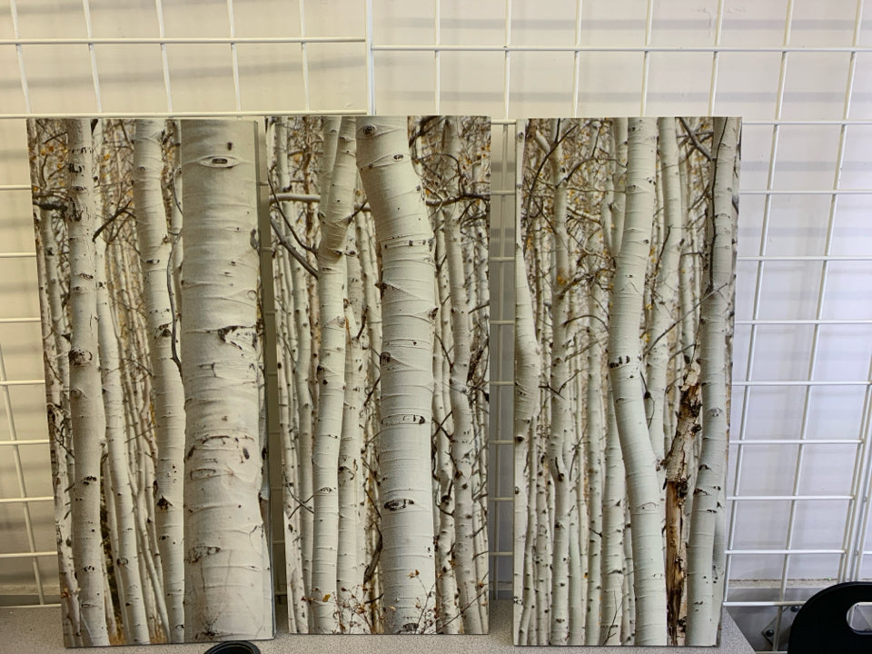 3 PC BIRCH TREE CANVAS WALL HANGING.