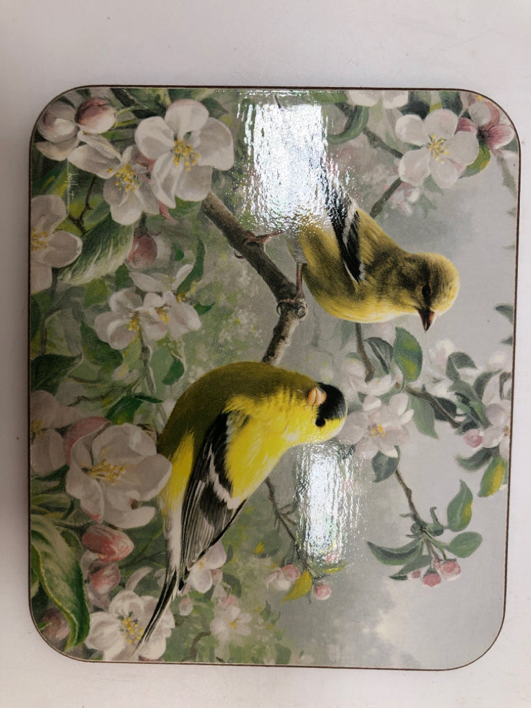 6 JASON BIRD COASTERS IN BOX.