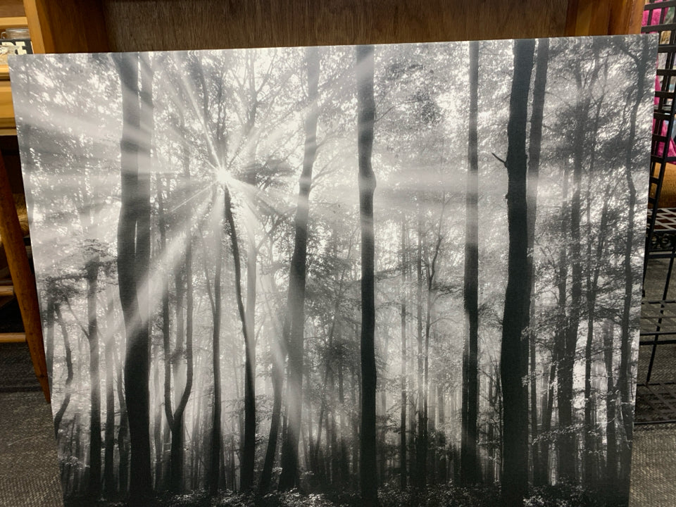 BLACK & WHITE SUNLIGHT THROUGH THE TREES CANVAS WALL ART.