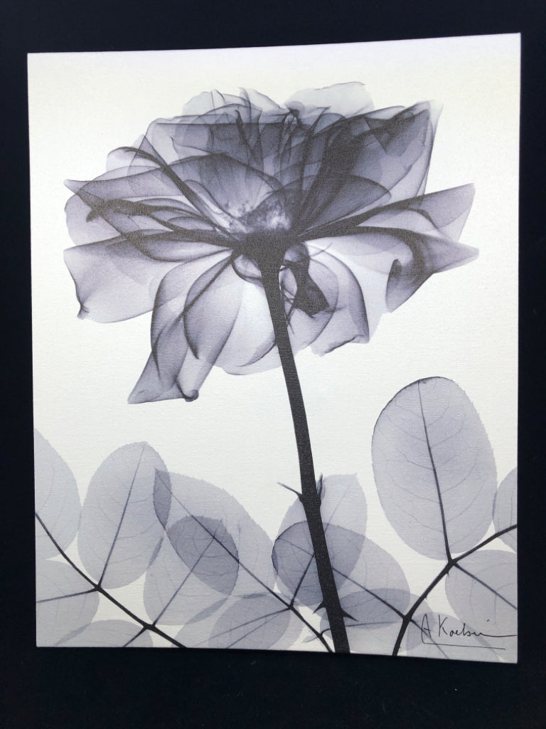 BLACK FLOWER ON WHITE CANVAS.