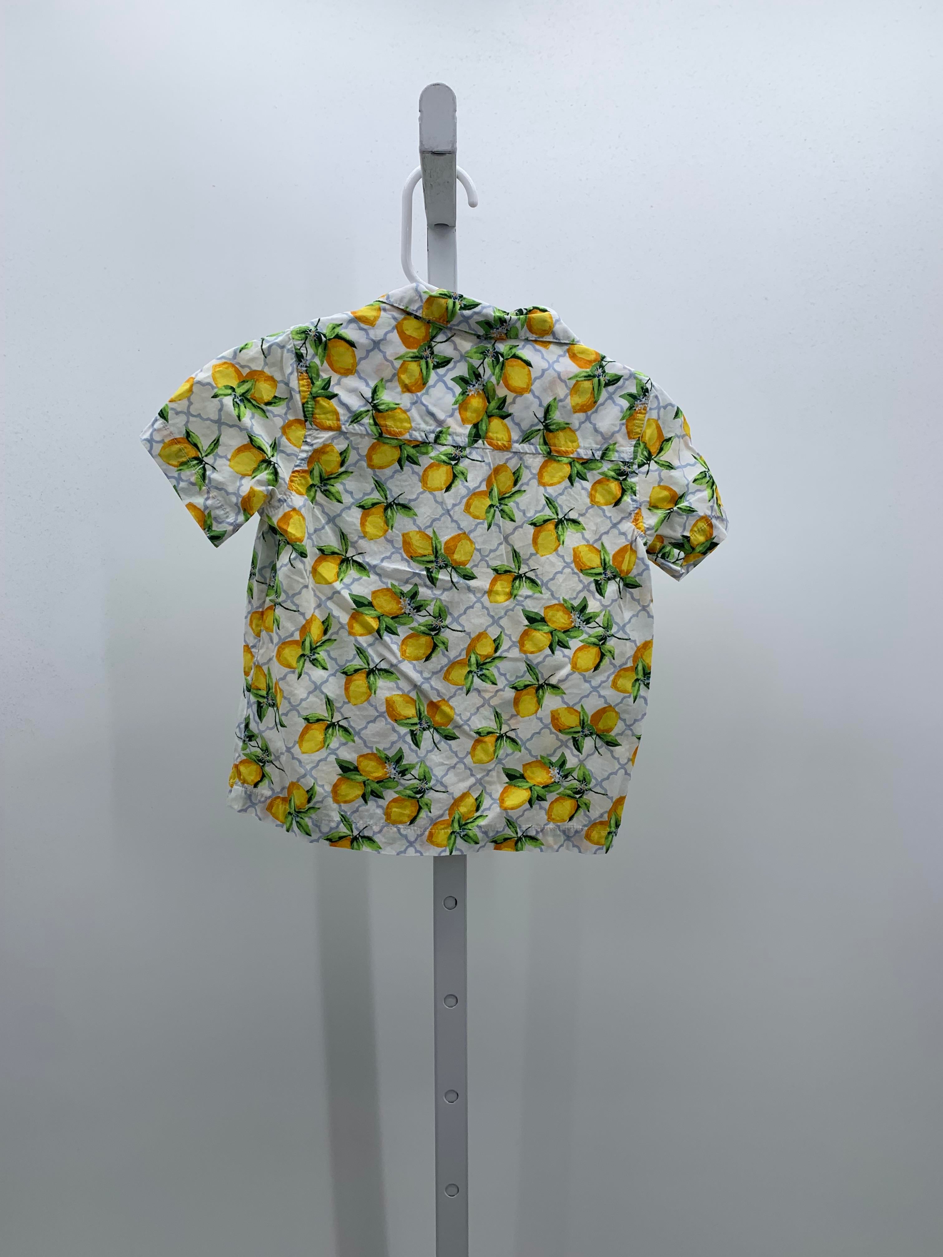 FRUIT PATTERN BTN DOWN