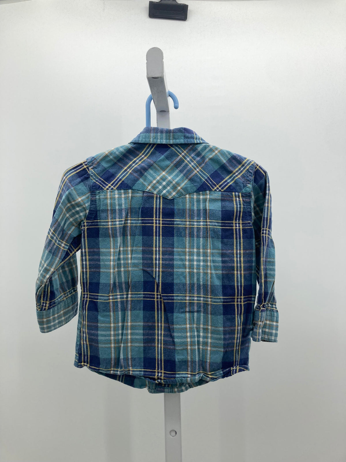 PLAID BTN DOWN