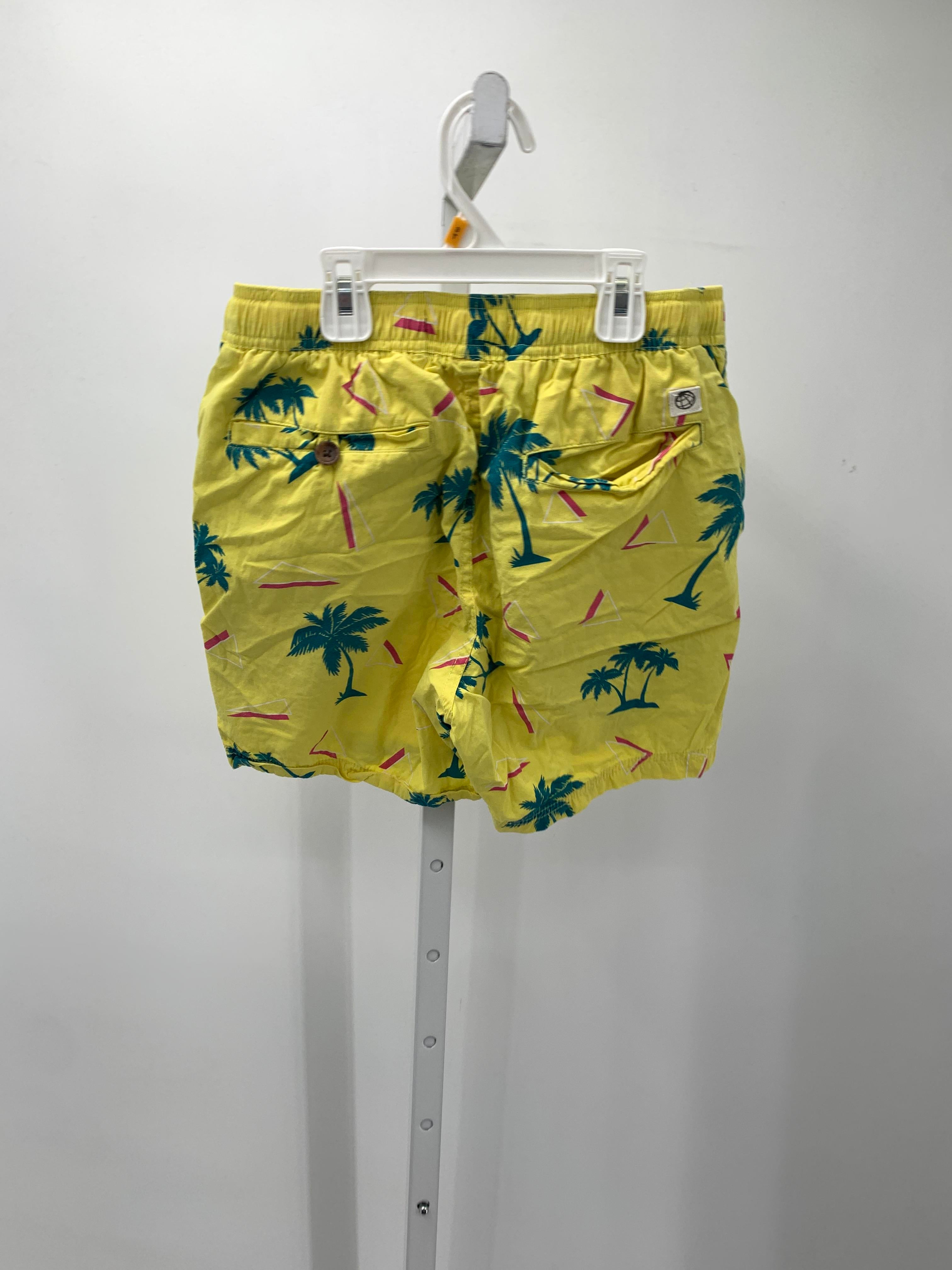 PALM TREES TRIANGLES