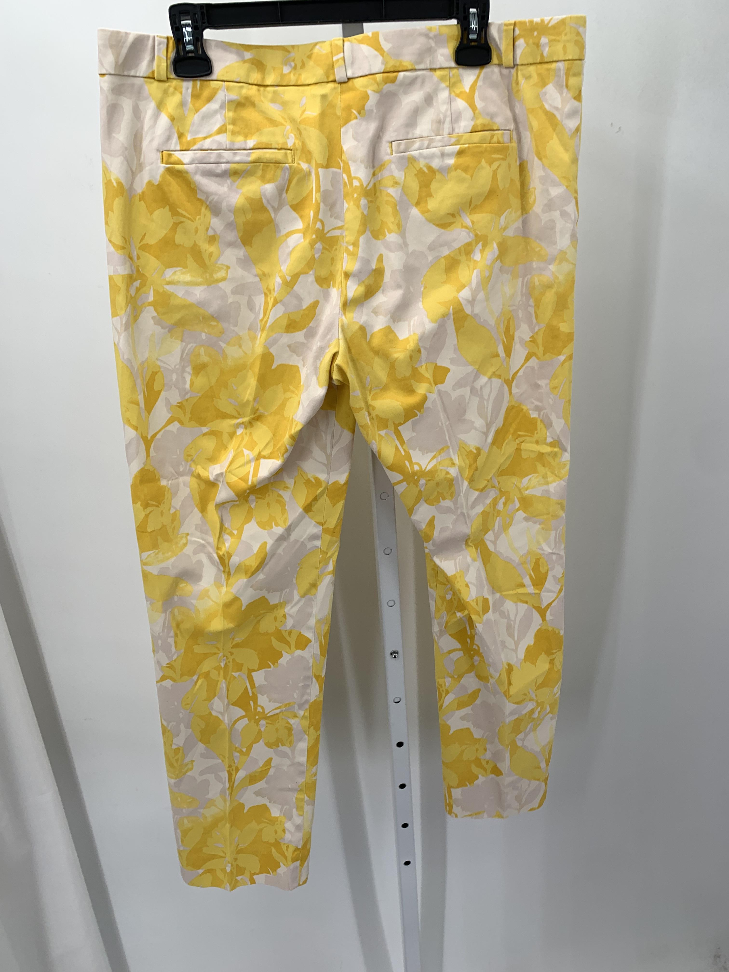 Banana Republic Size 12 Misses Pants