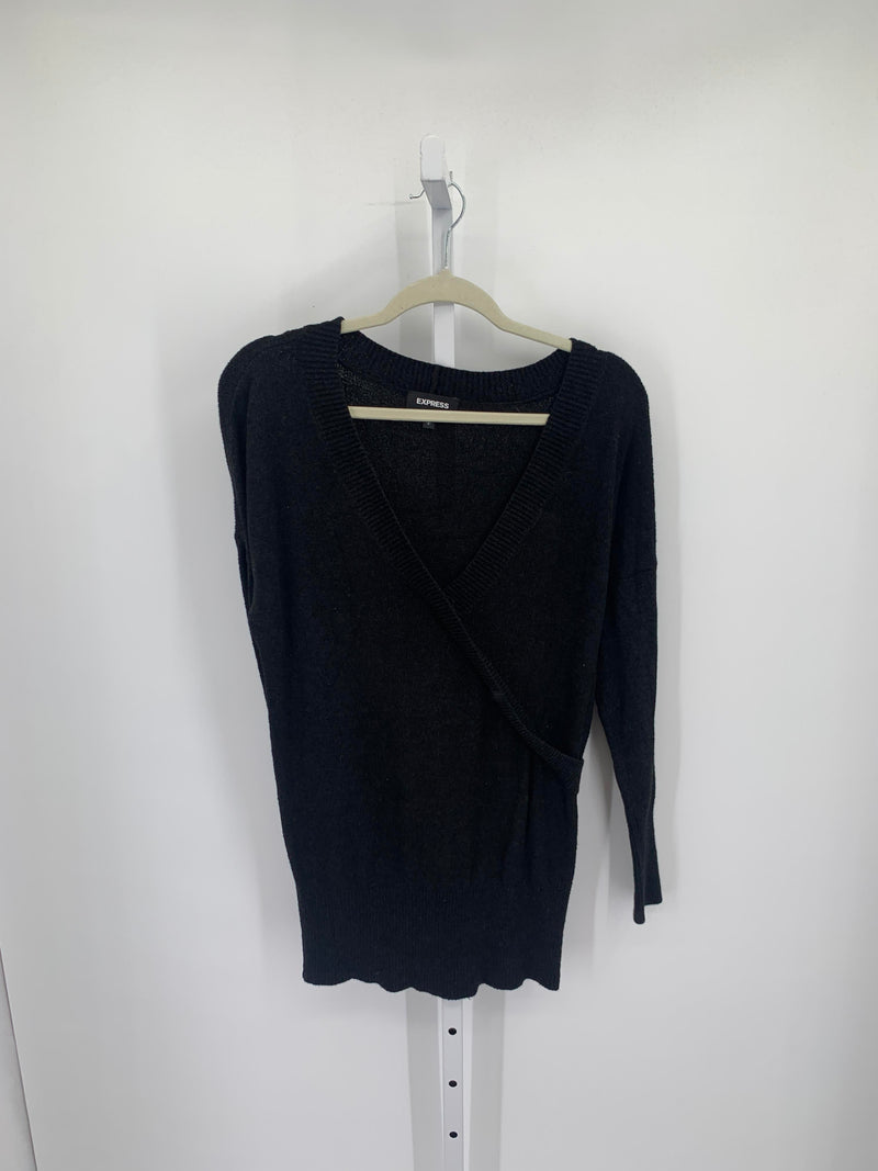 Express Size Small Misses Long Slv Sweater