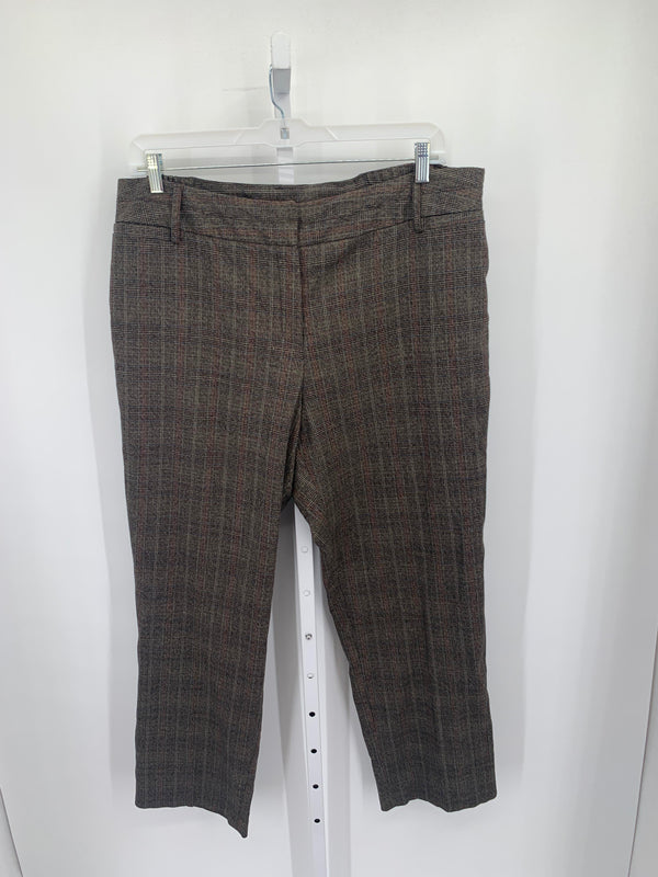 db Size 18 W Womens Pants