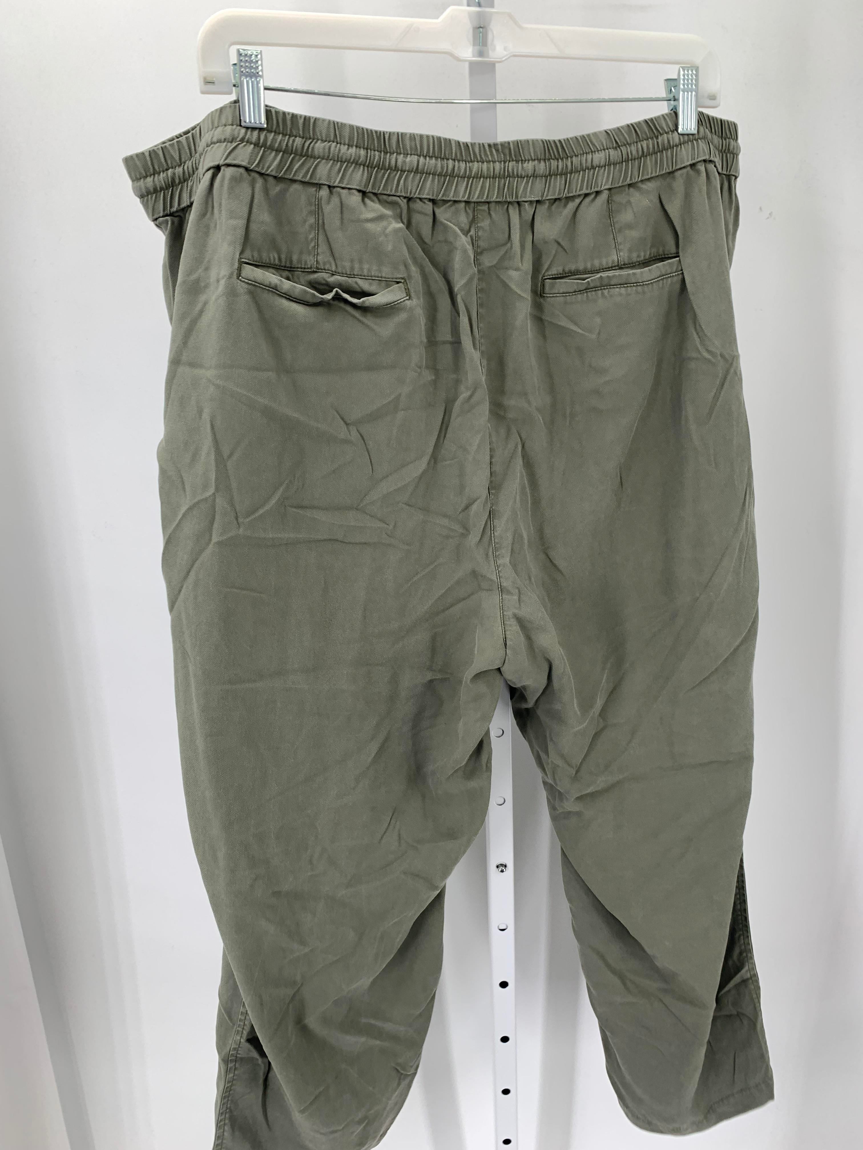 Talbots Size 24 W Womens Pants