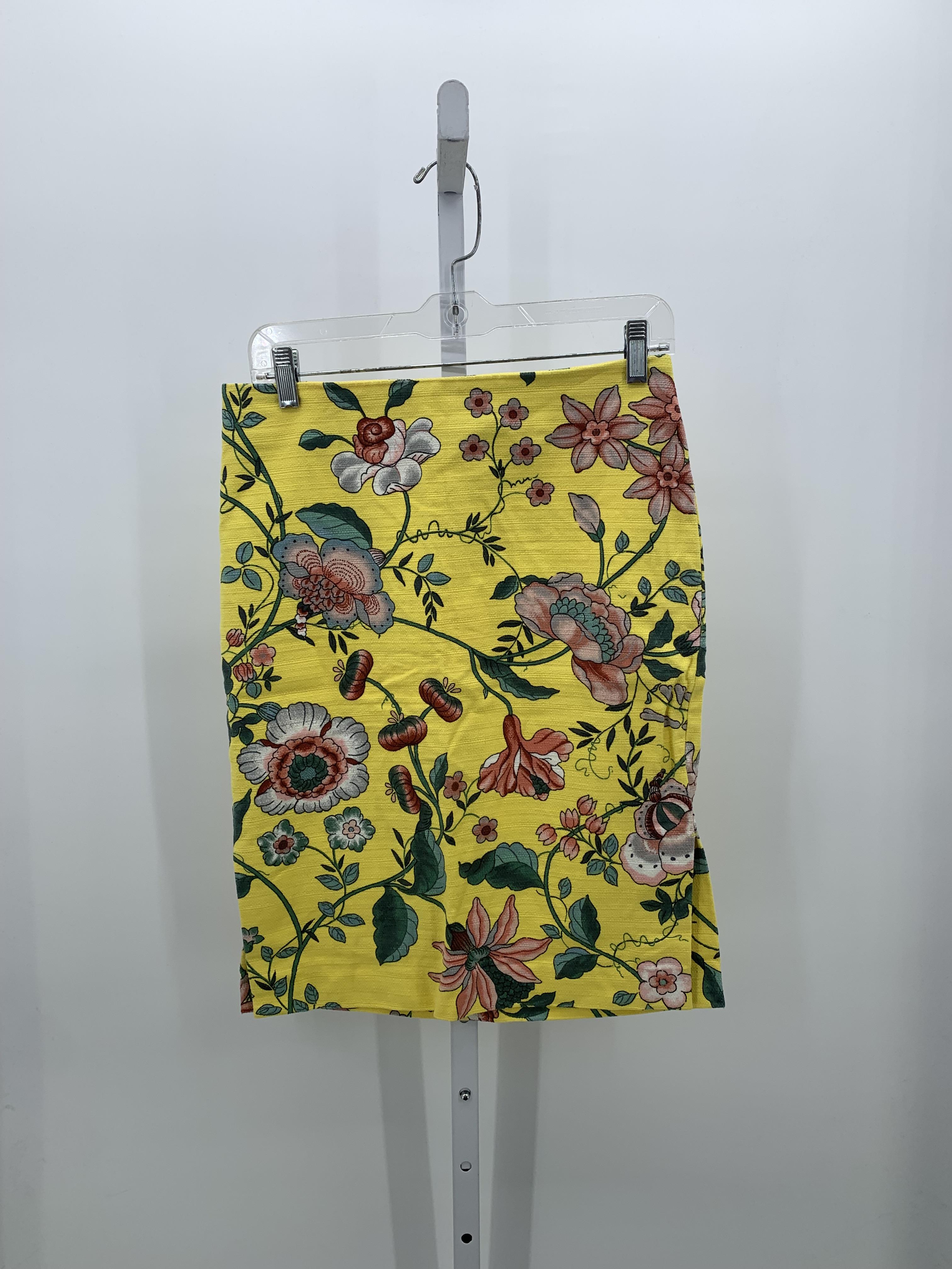 Loft Size 6 Misses Skirt