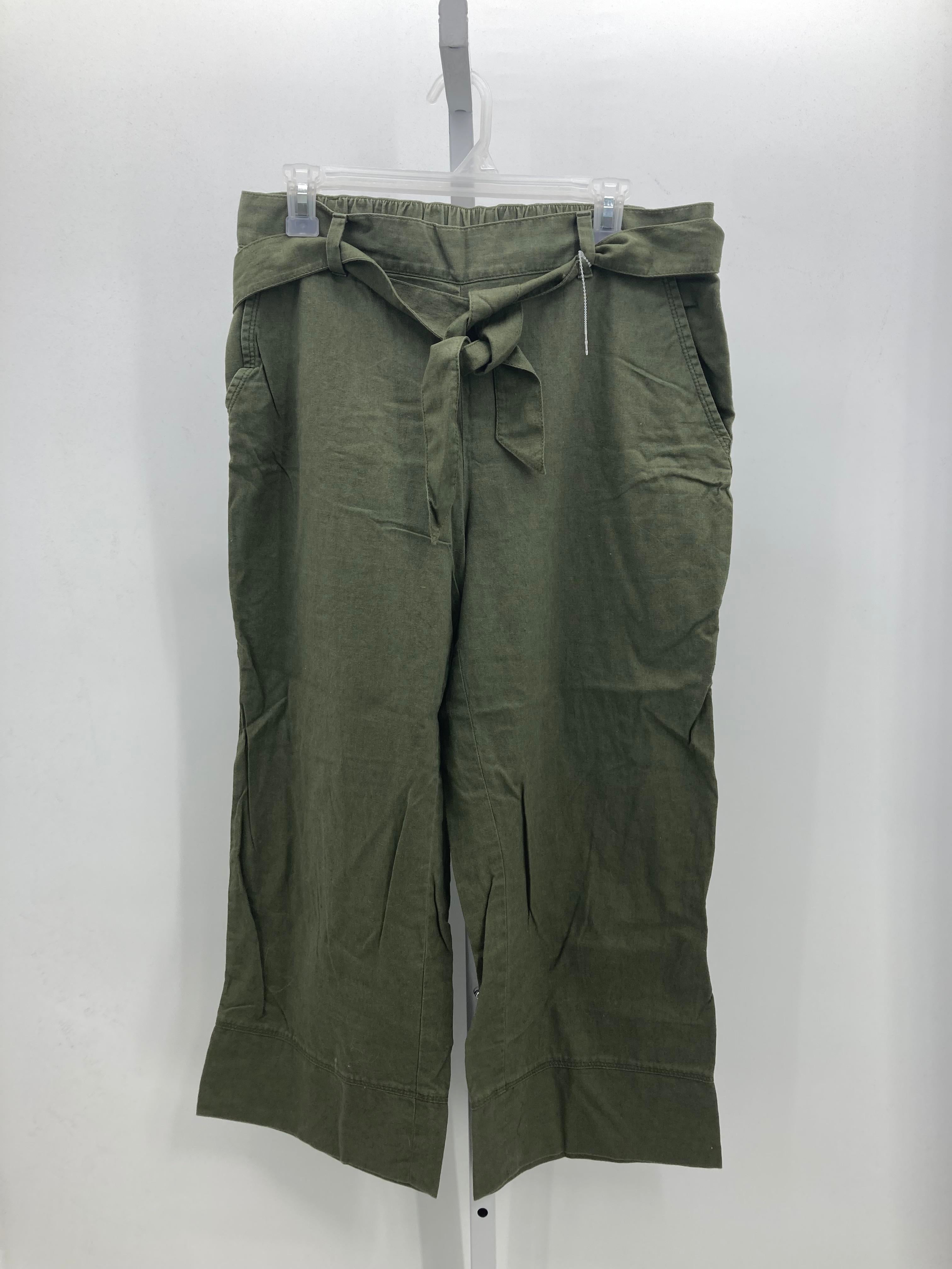 Loft Size Medium Misses Pants