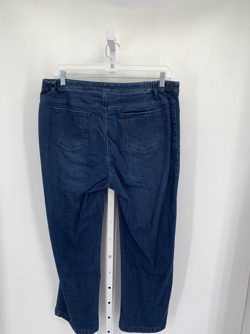 J-Jill Size 18 W Womens Jeans