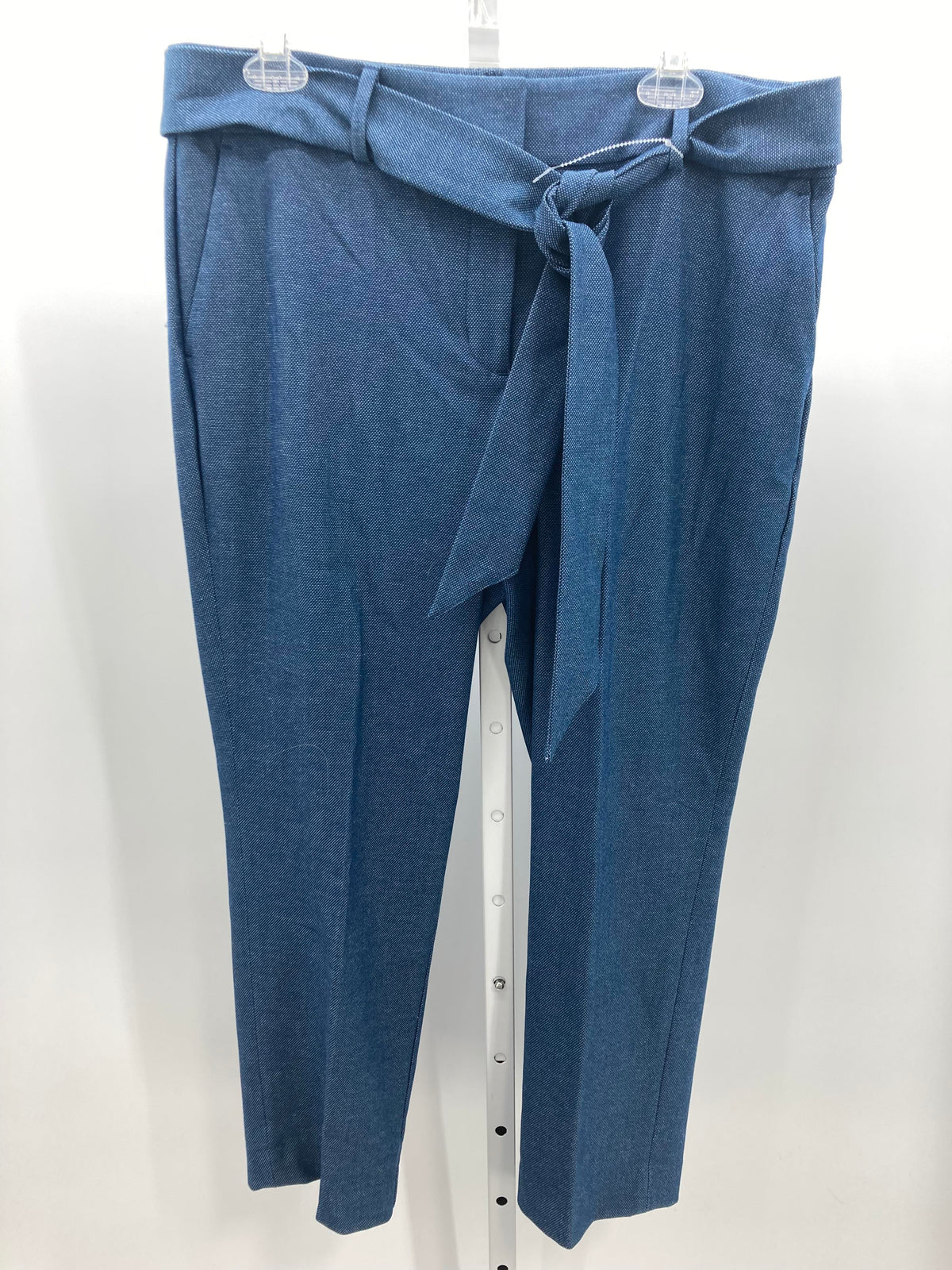 Loft Size 12 Misses Pants