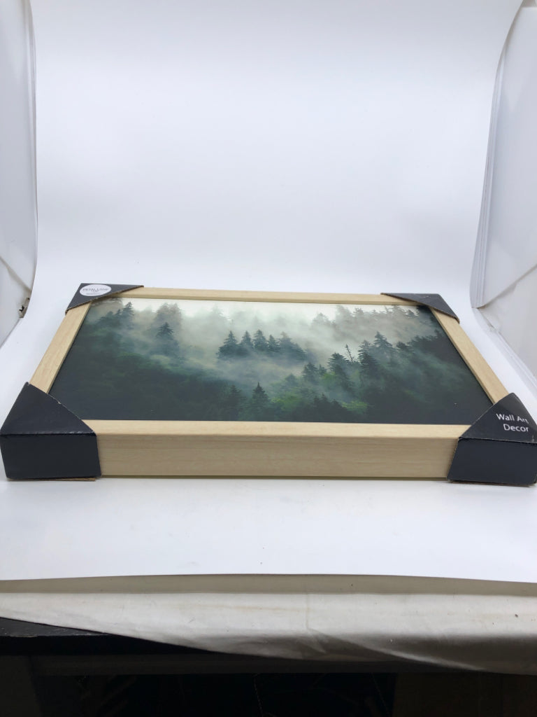 NIP FOGGY FOREST W/ PINE TREES FRAMES CANVAS.