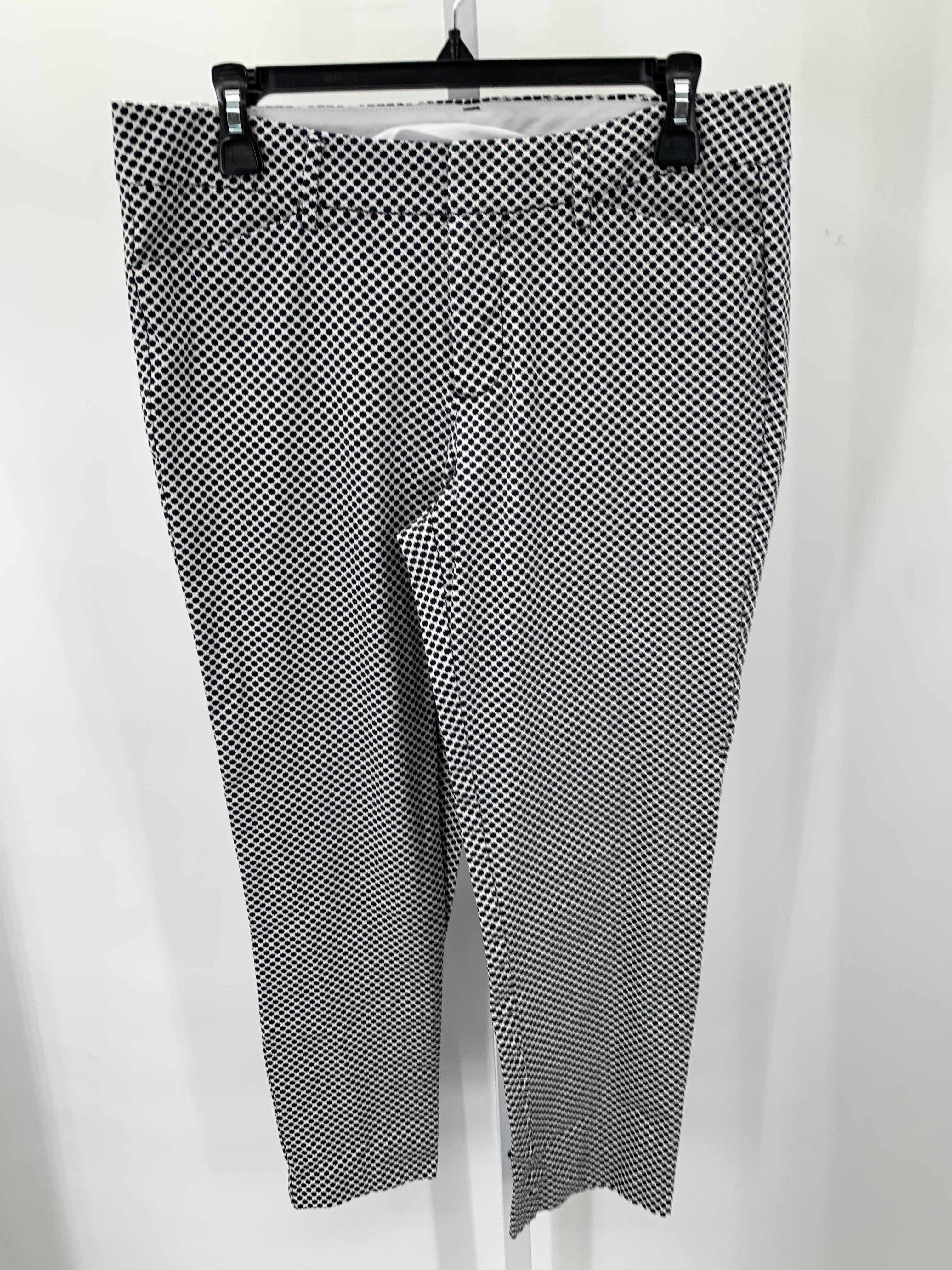 Stylus Size 8 Misses Pants