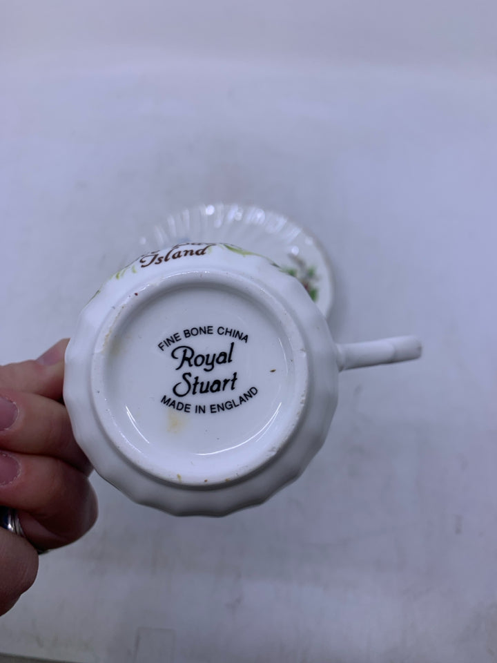 PRINCE EDWARDS ISLAND TEACUP SAUCER.
