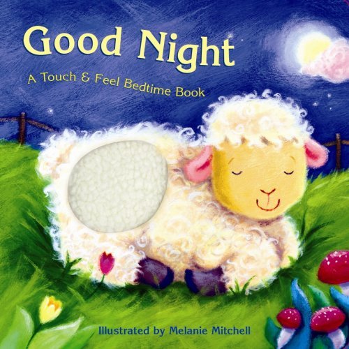 Good Night: a Touch & Feel Bedtime Book Mitchell, Melanie [Used - Good] [Hardcov