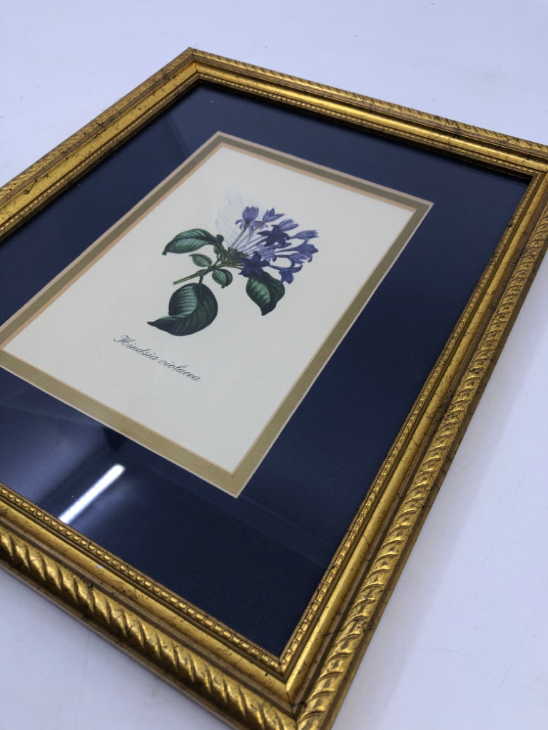 VIOLETS IN GOLD FRAME BLUE BACKGROUND.
