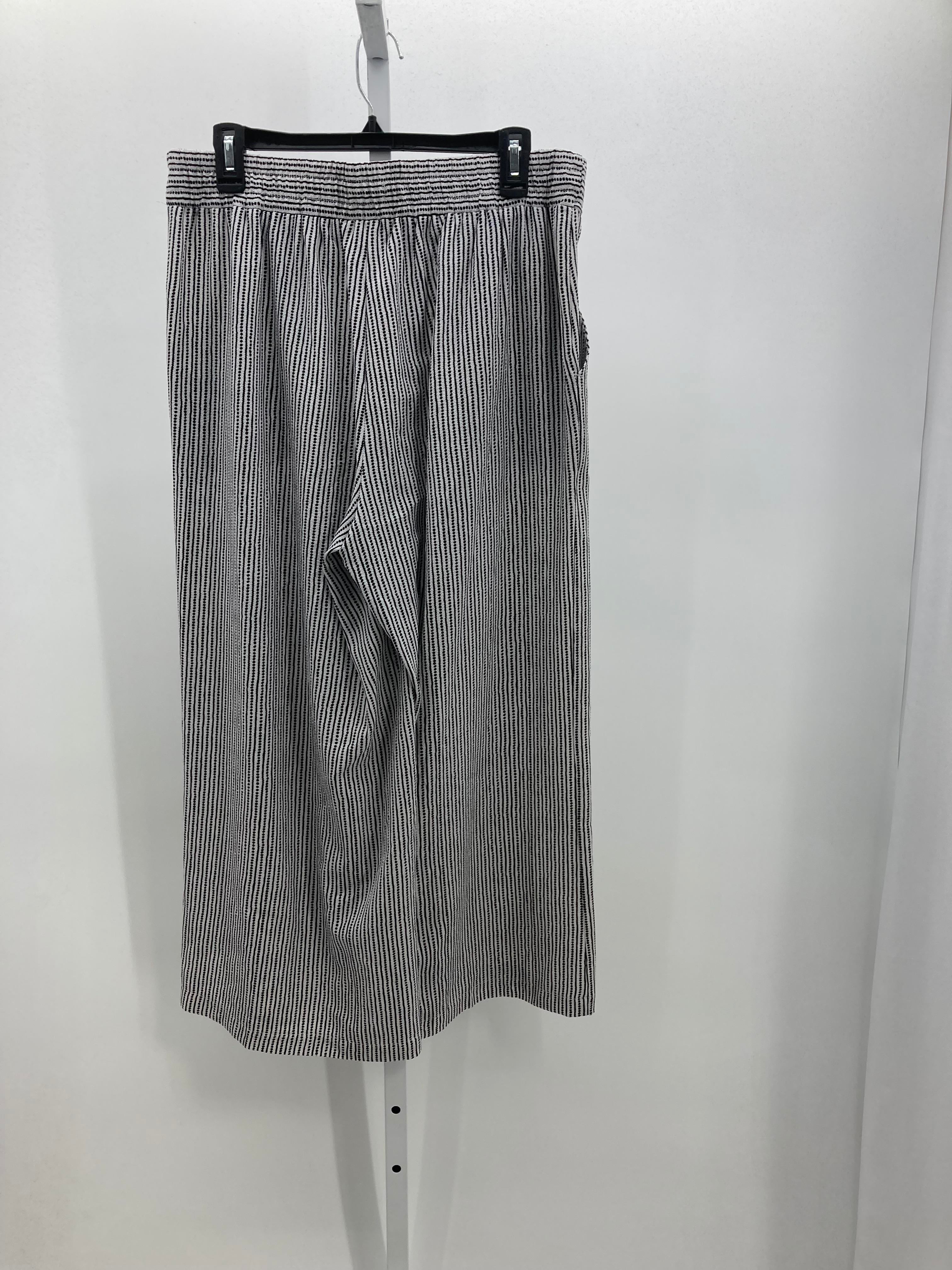 Max Studio Size Large Misses Pants
