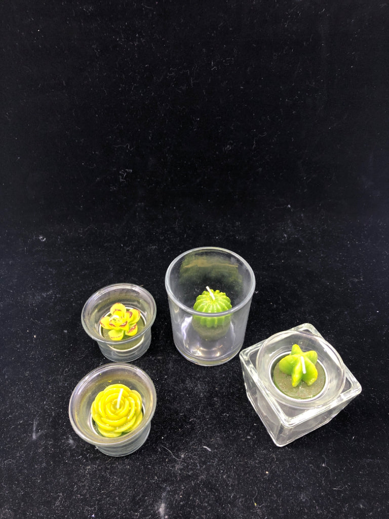 4 SUCCULENT CANDLES.