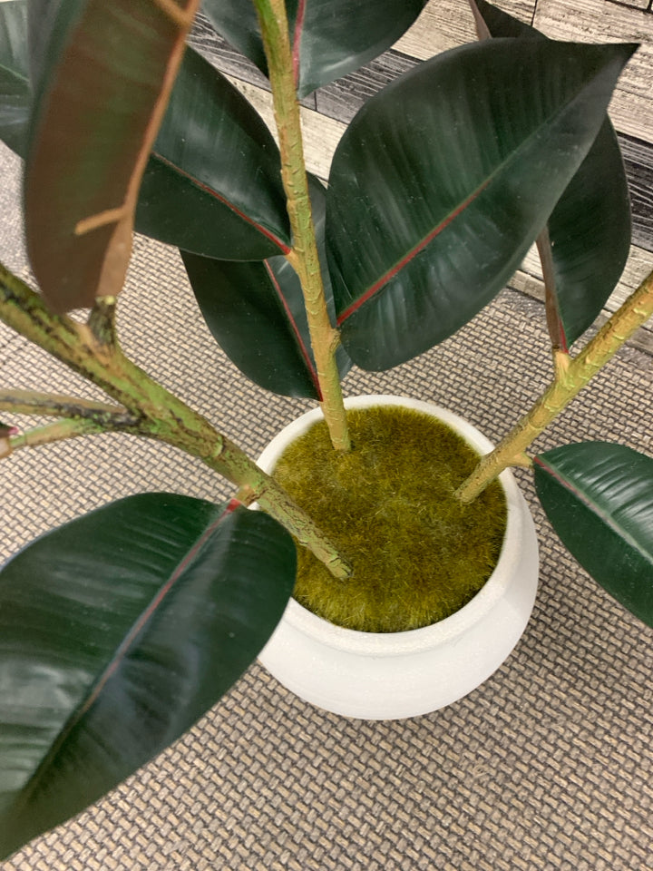 LARGE PLANT W/MOSS IN GRAY PLANTER.