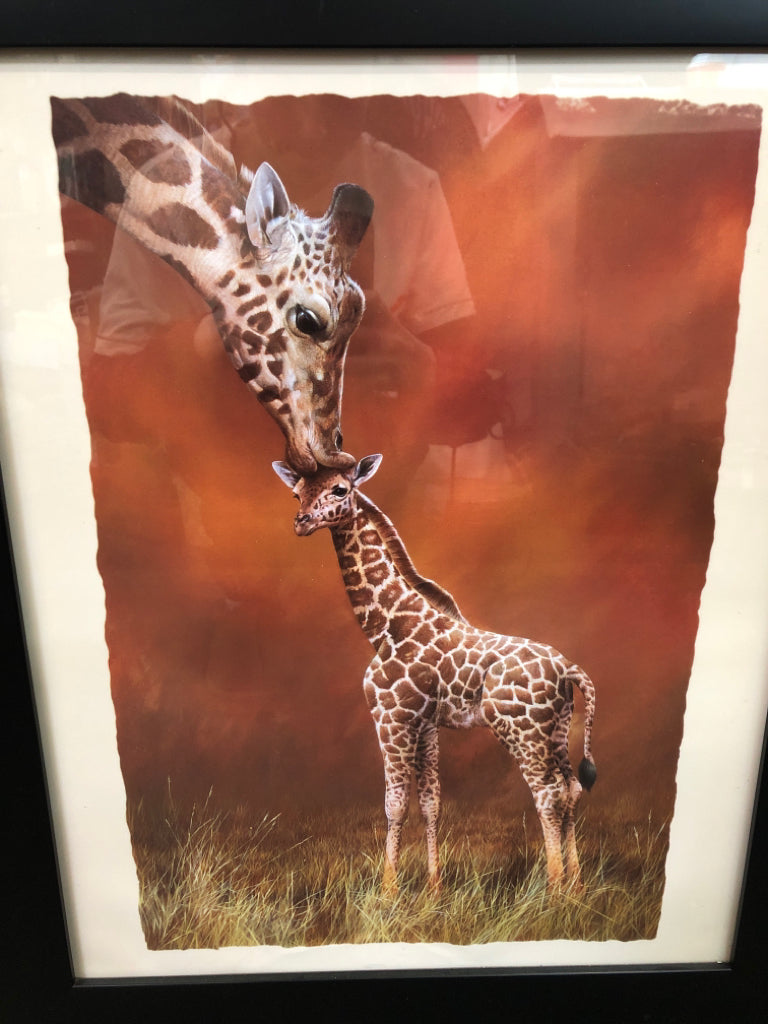 GIRAFFE AND BABY PRINT IN BLACK FRAME.