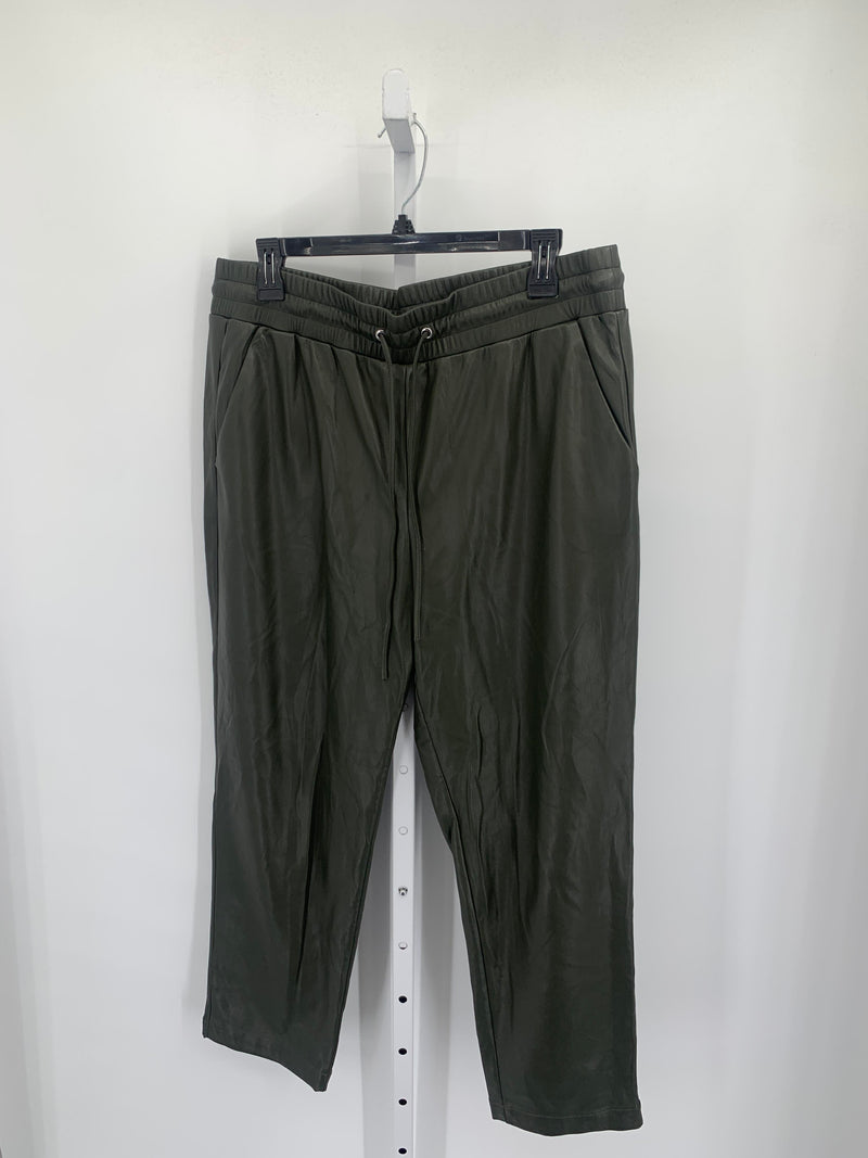 Loft Size Large Misses Pants