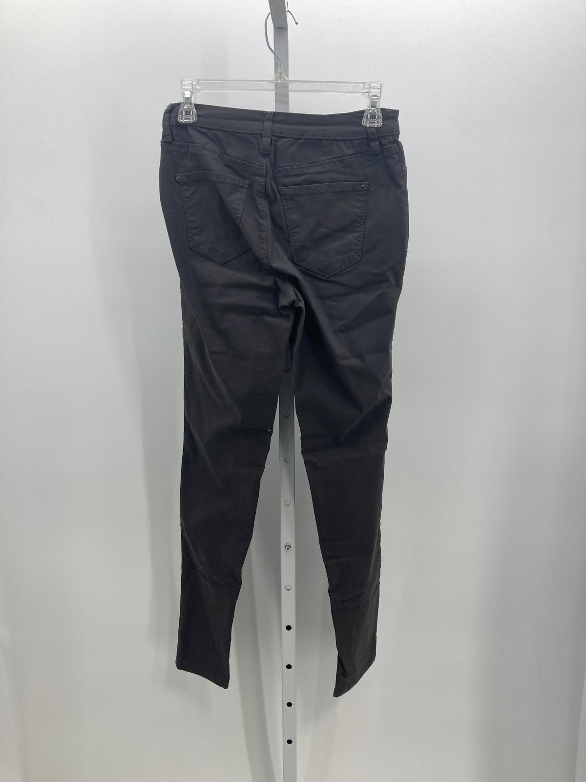 YMI Size Medium Juniors Pants