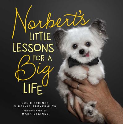 Norbert's Little Lessons for a Big Life - Julie Steines