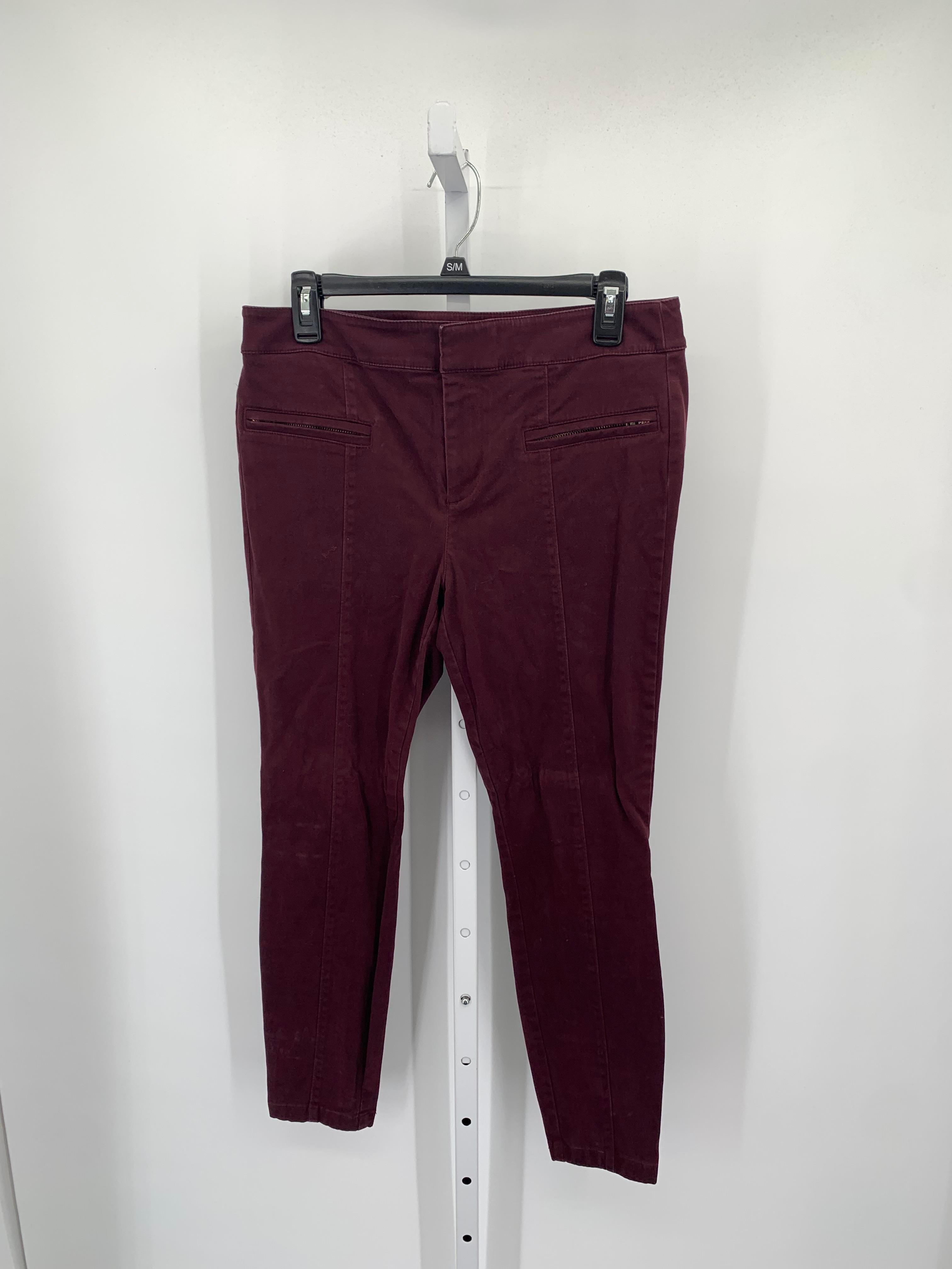 Loft Size 8 Petite Petite Pants