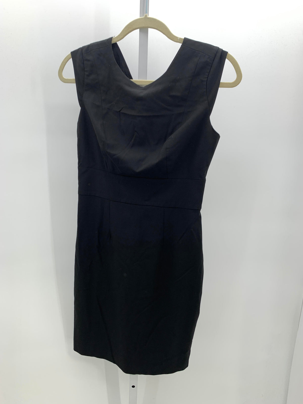 The Limited Size 2 Misses Sleeveless Dress