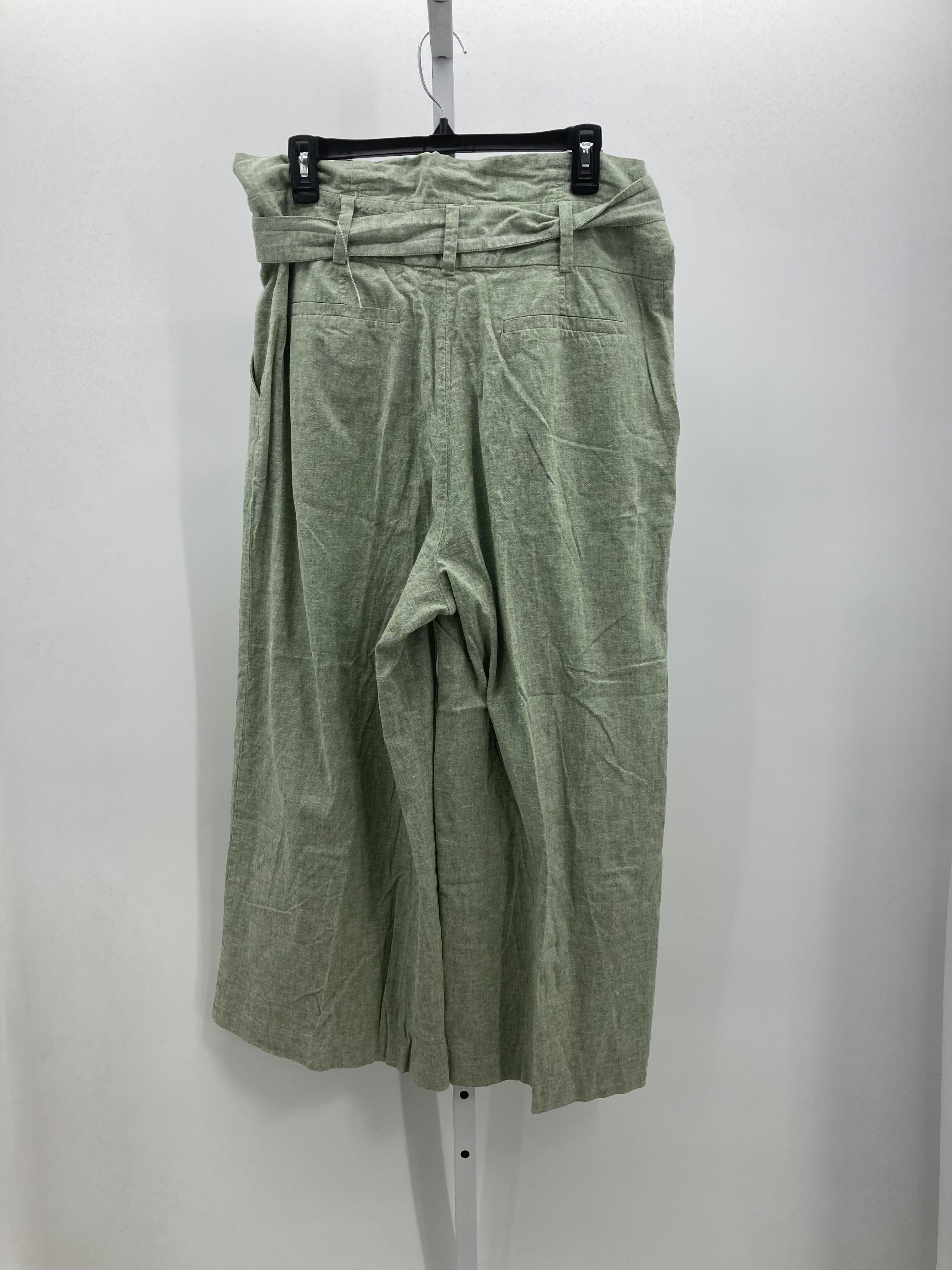 New York & co. Size 16 Misses Pants