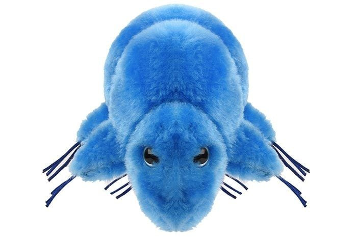 GIANT Microbes Waterbear