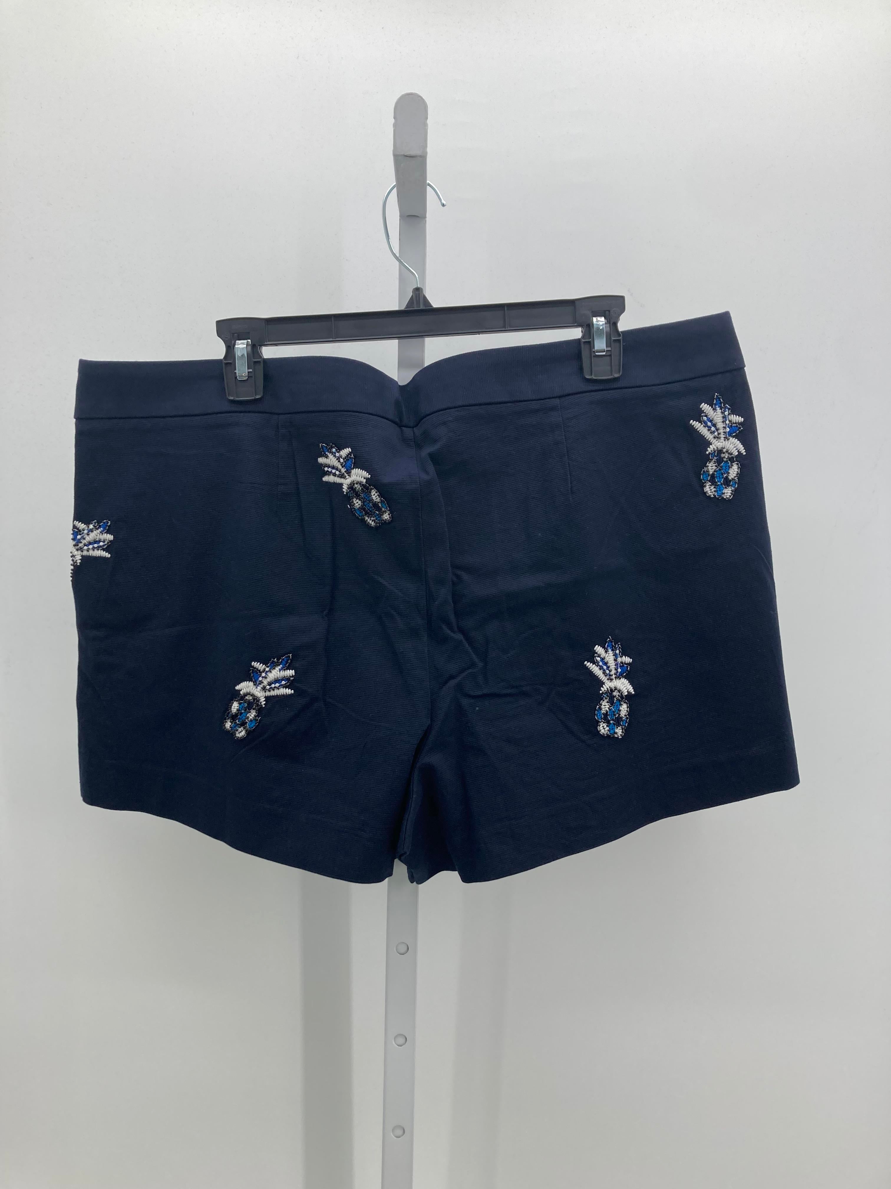 Loft Size 16 Misses Shorts