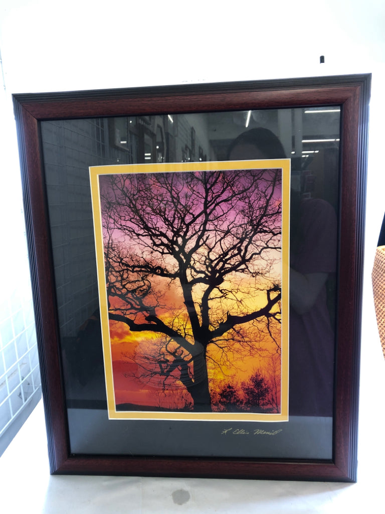 OMBRE SKY W BARE TREE WALL ART.