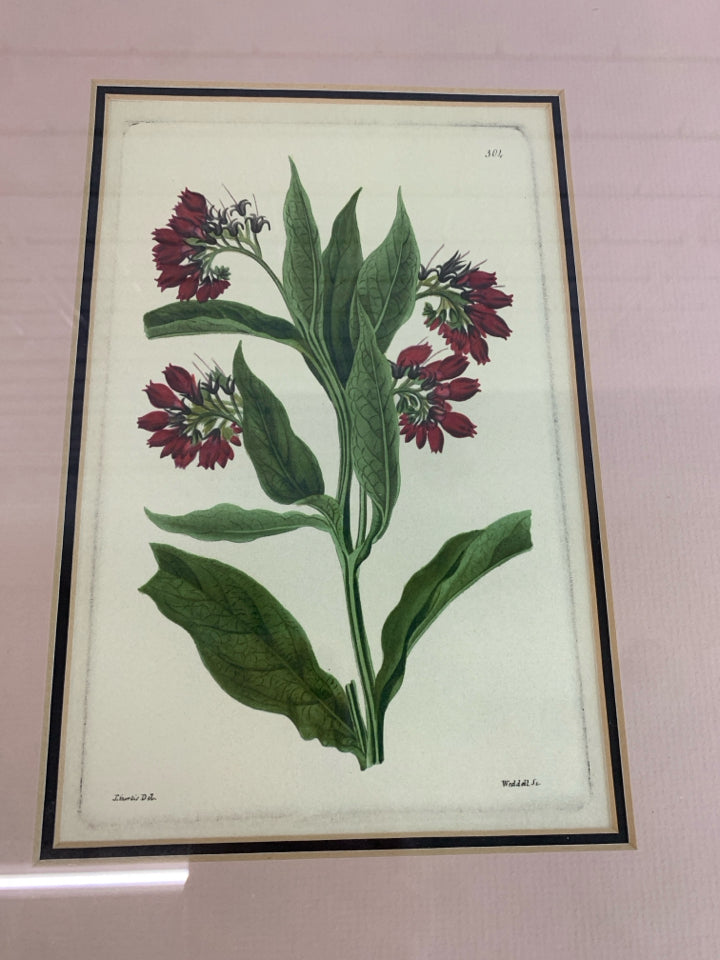 VTG "304" RED FLORAL ILLUSTRATION.