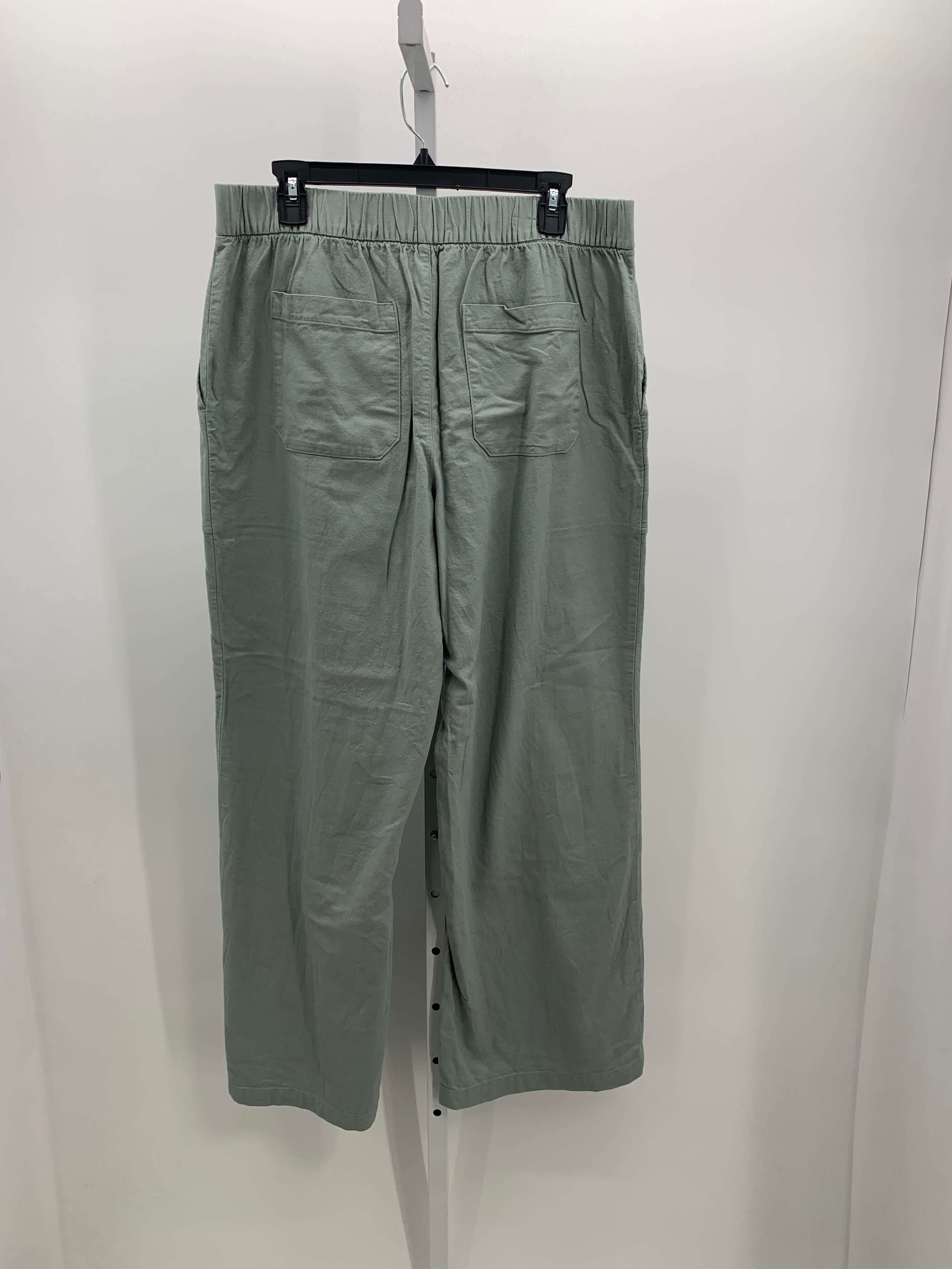 Loft Size 14 Misses Pants