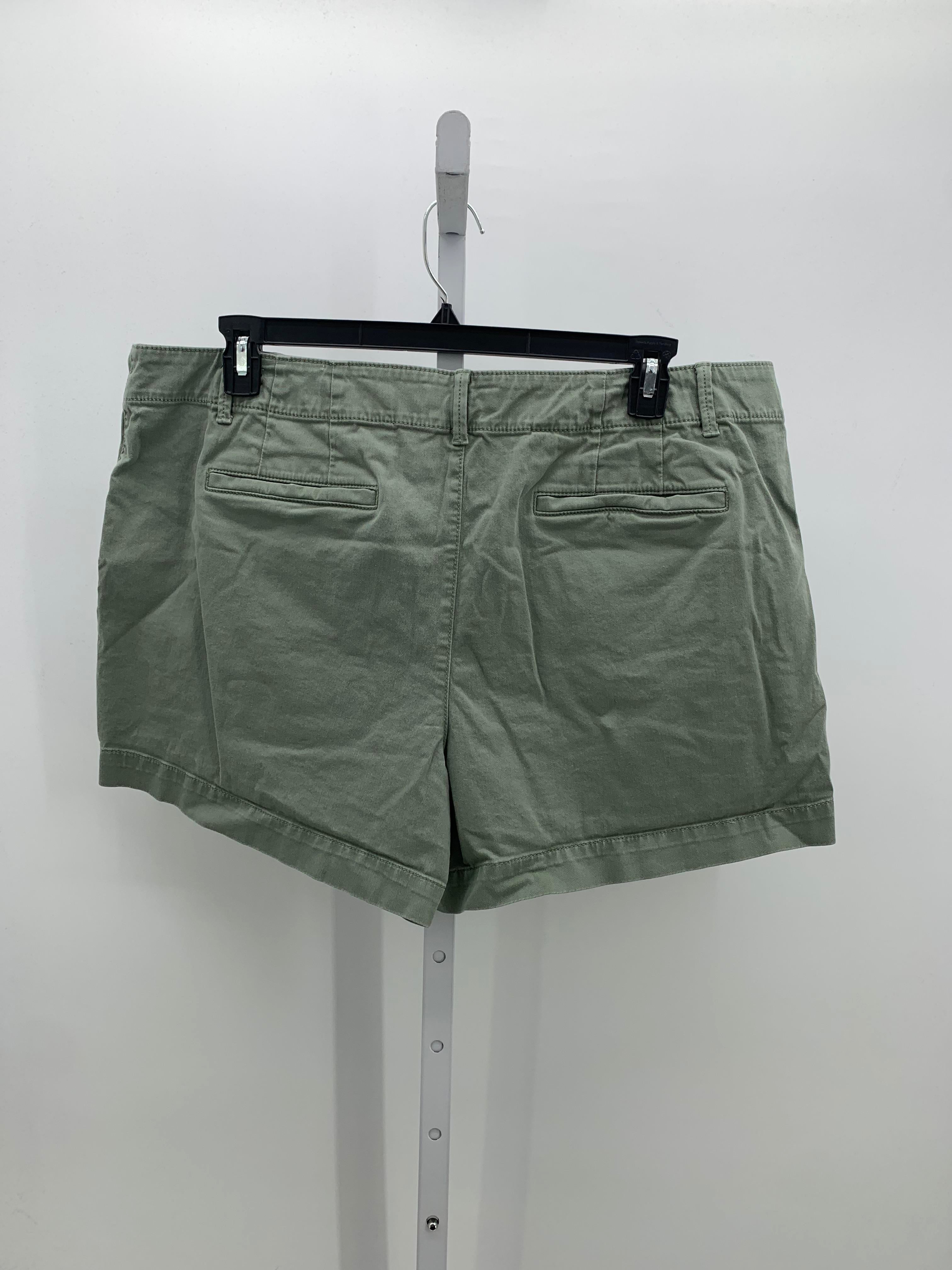 Loft Size 18 Misses Shorts
