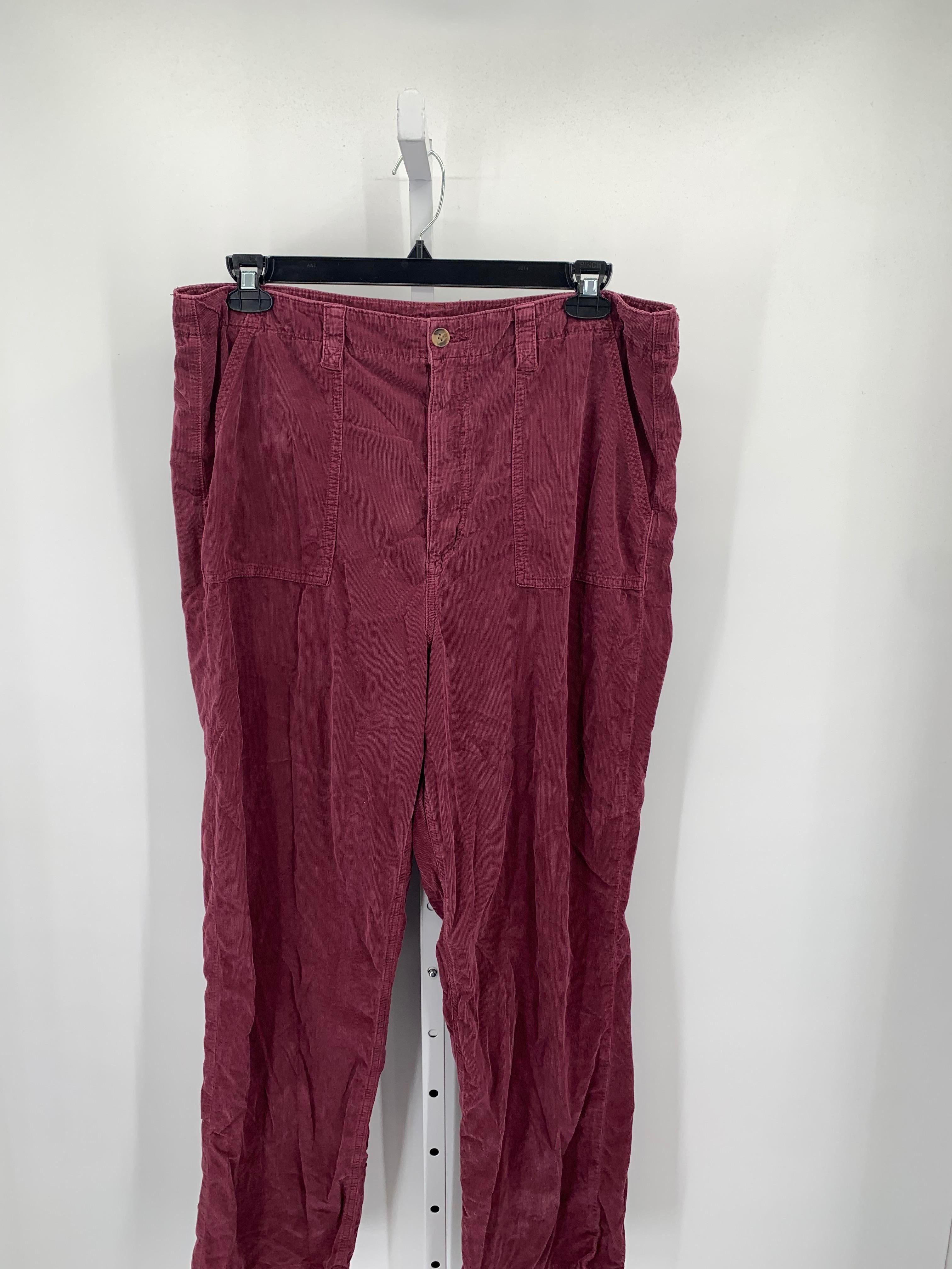 American Eagle Size 18 Juniors Corduroy