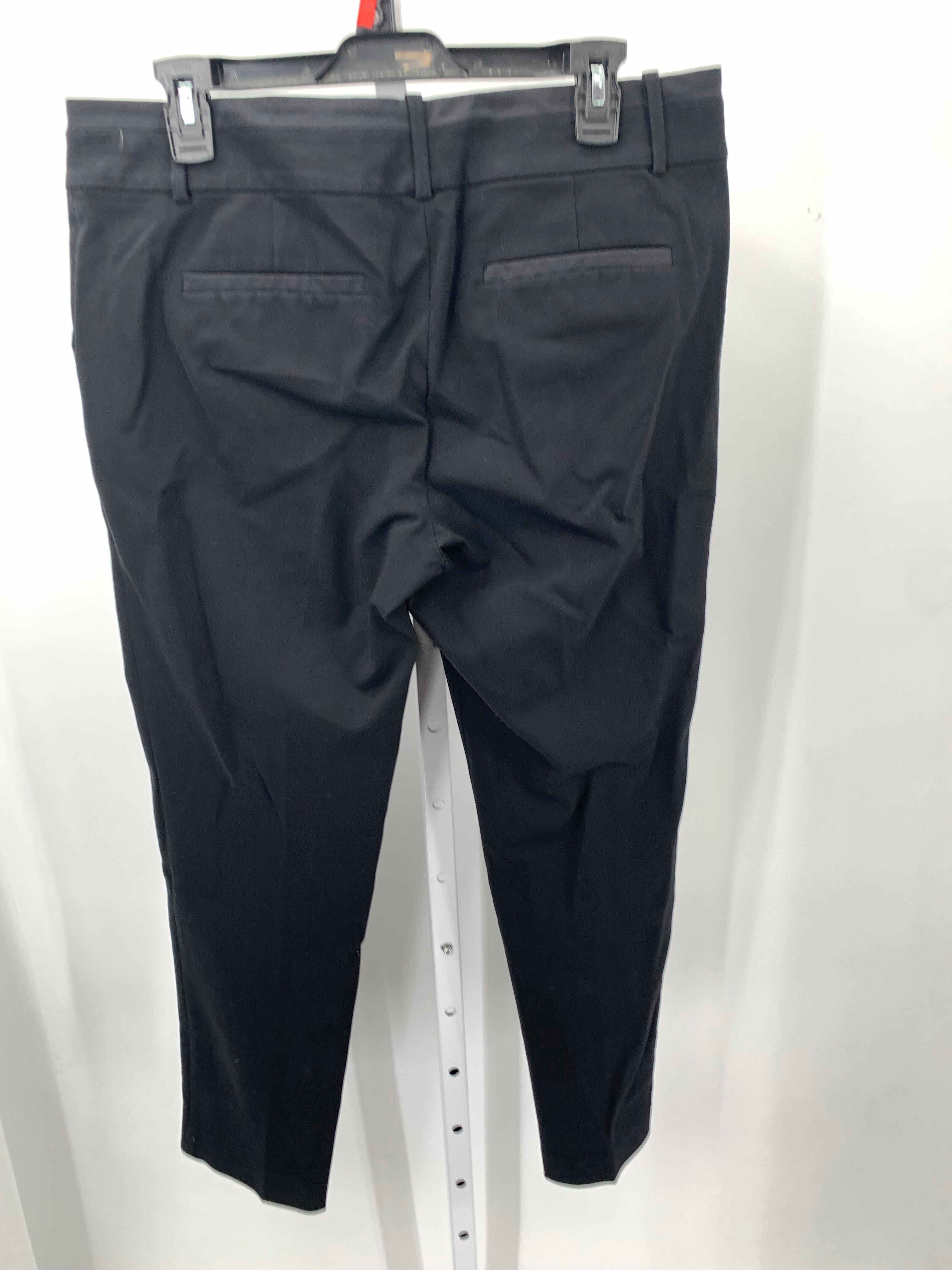 Ann Taylor Size 12 Misses Pants