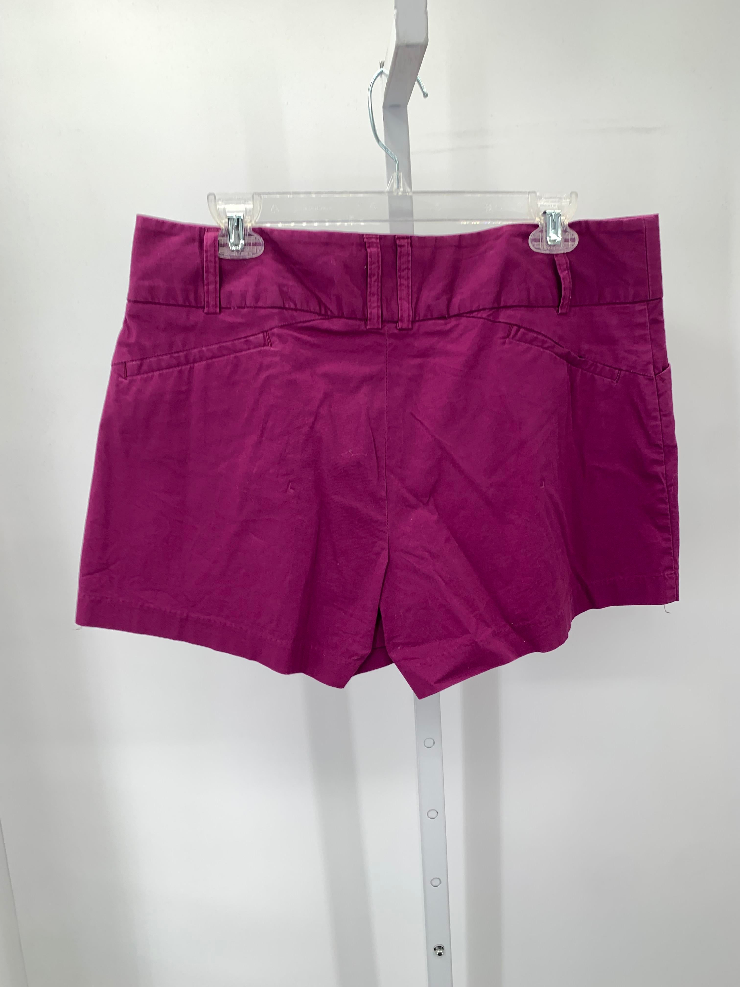 Daisy Fuentes Size 12 Misses Shorts