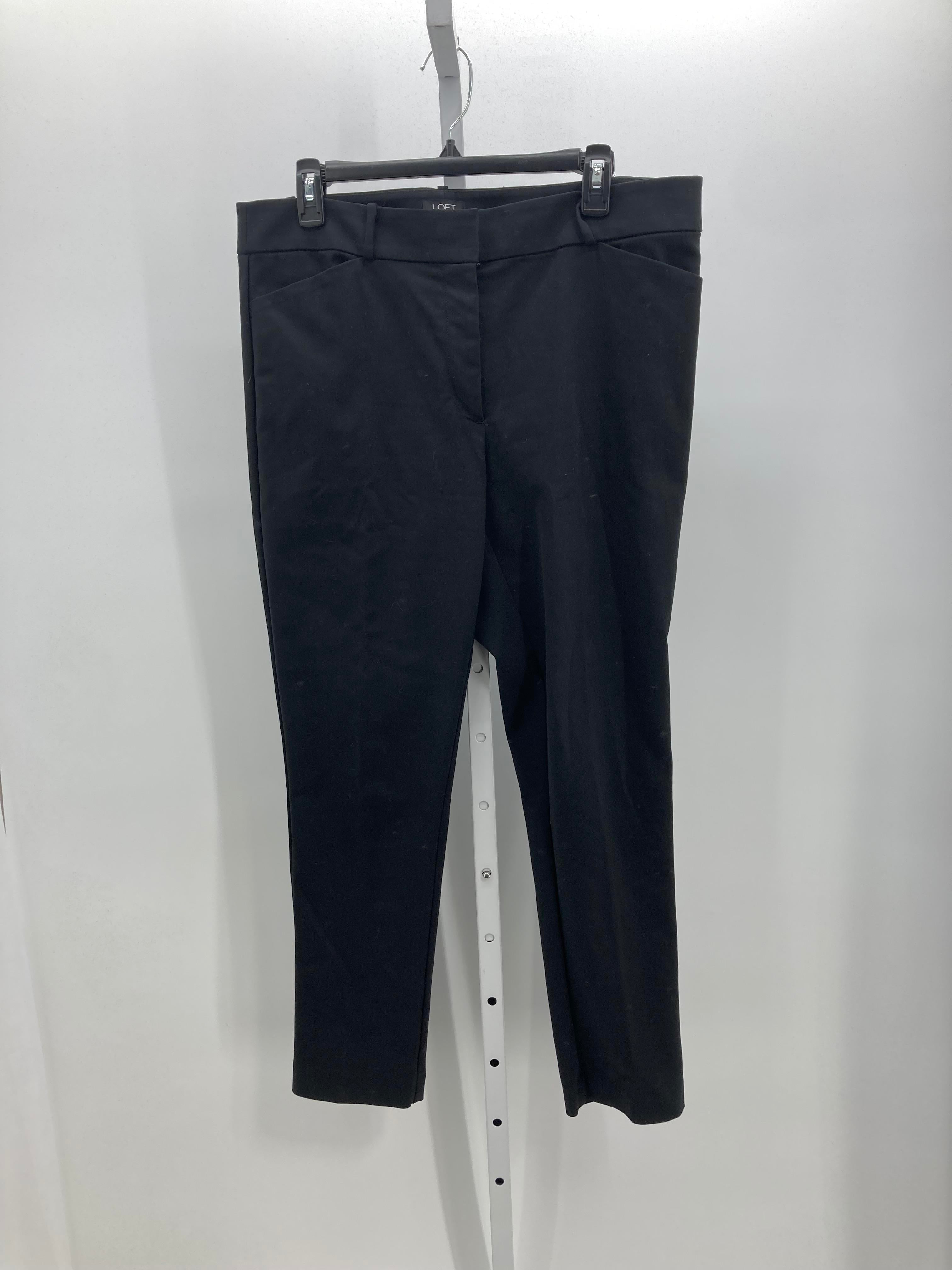 Loft Size 12 Misses Pants